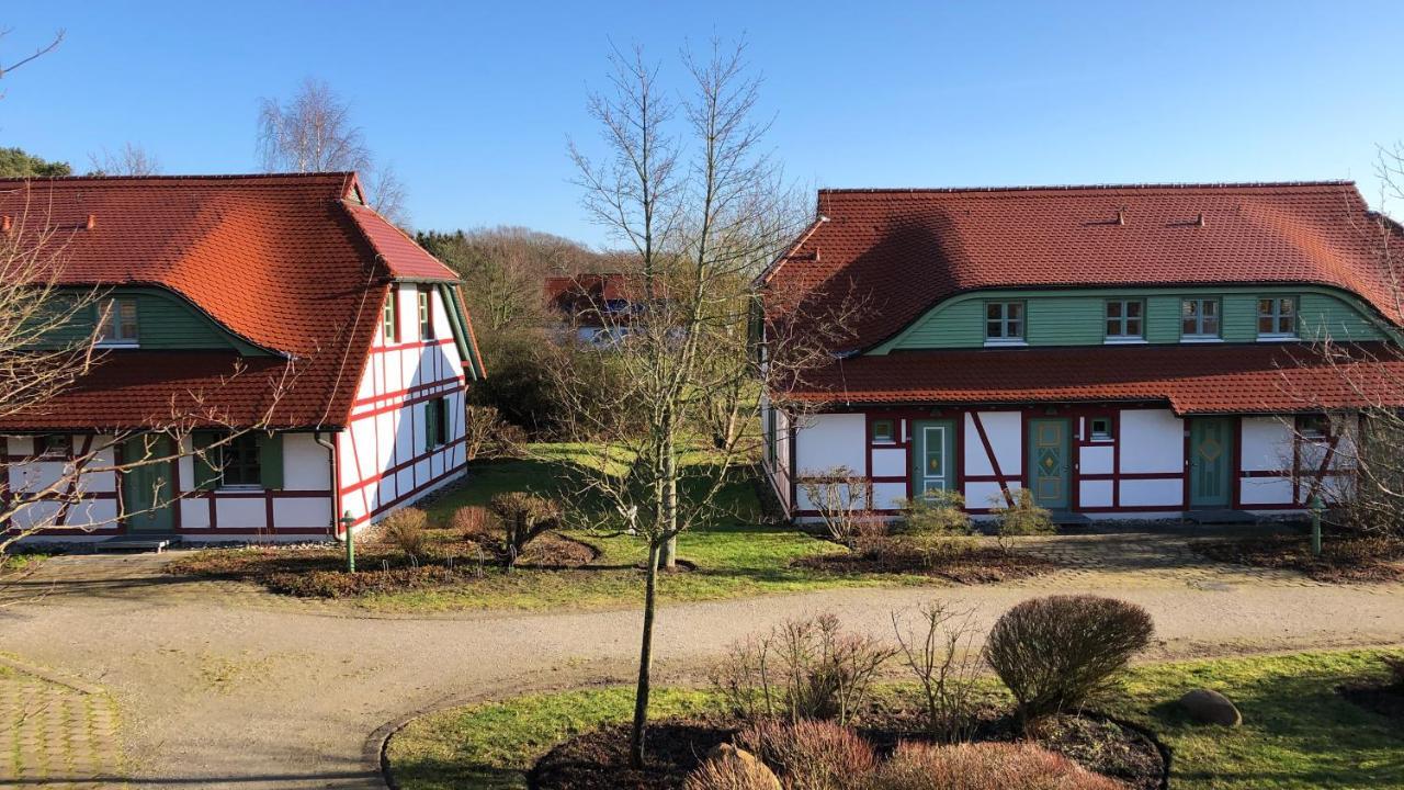 Feriendorf Rugana Insel Ruegen Fewos Vogelgesang Dranske Zewnętrze zdjęcie